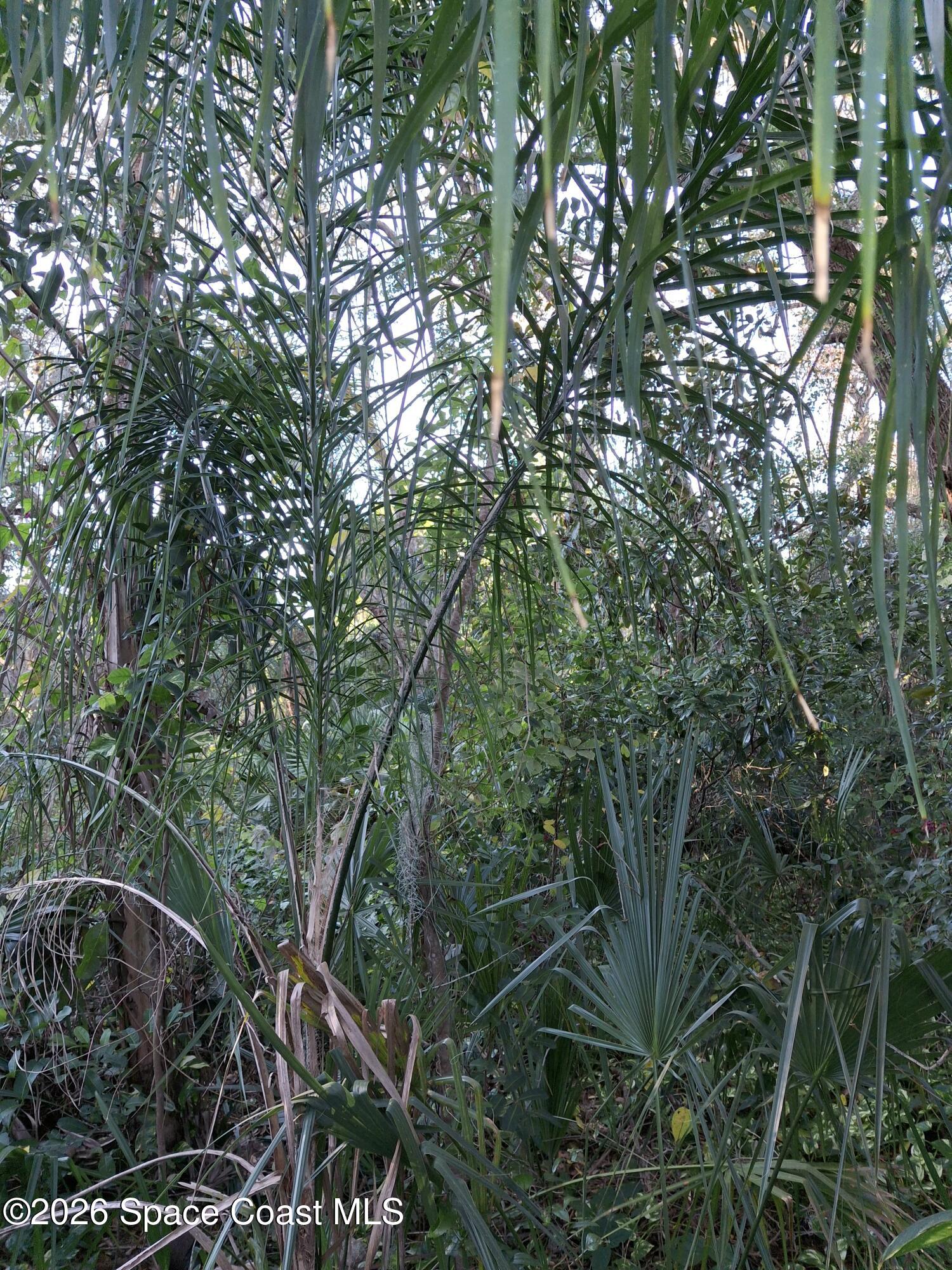 4824 Curtis Boulevard