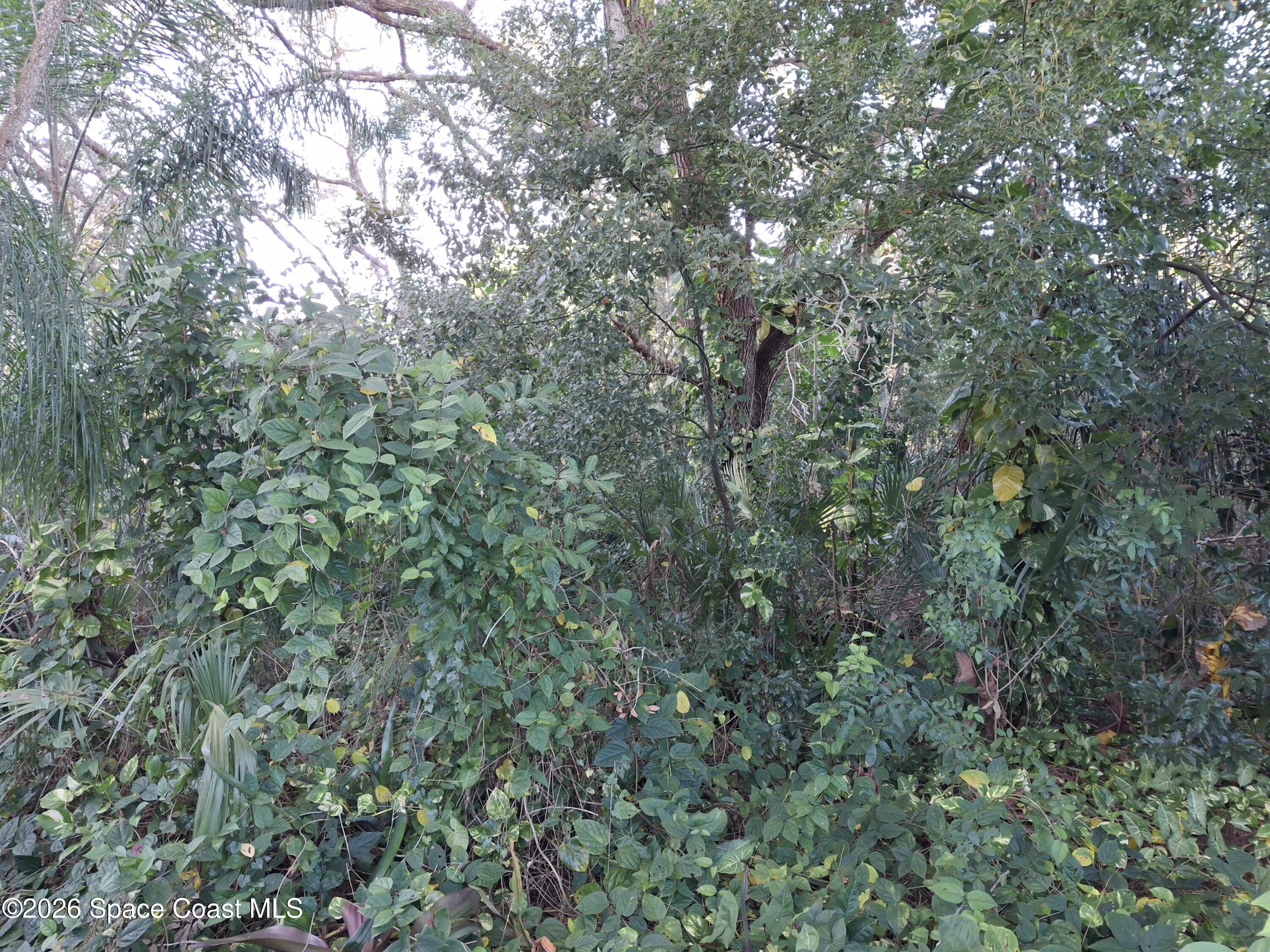 4824 Curtis Boulevard