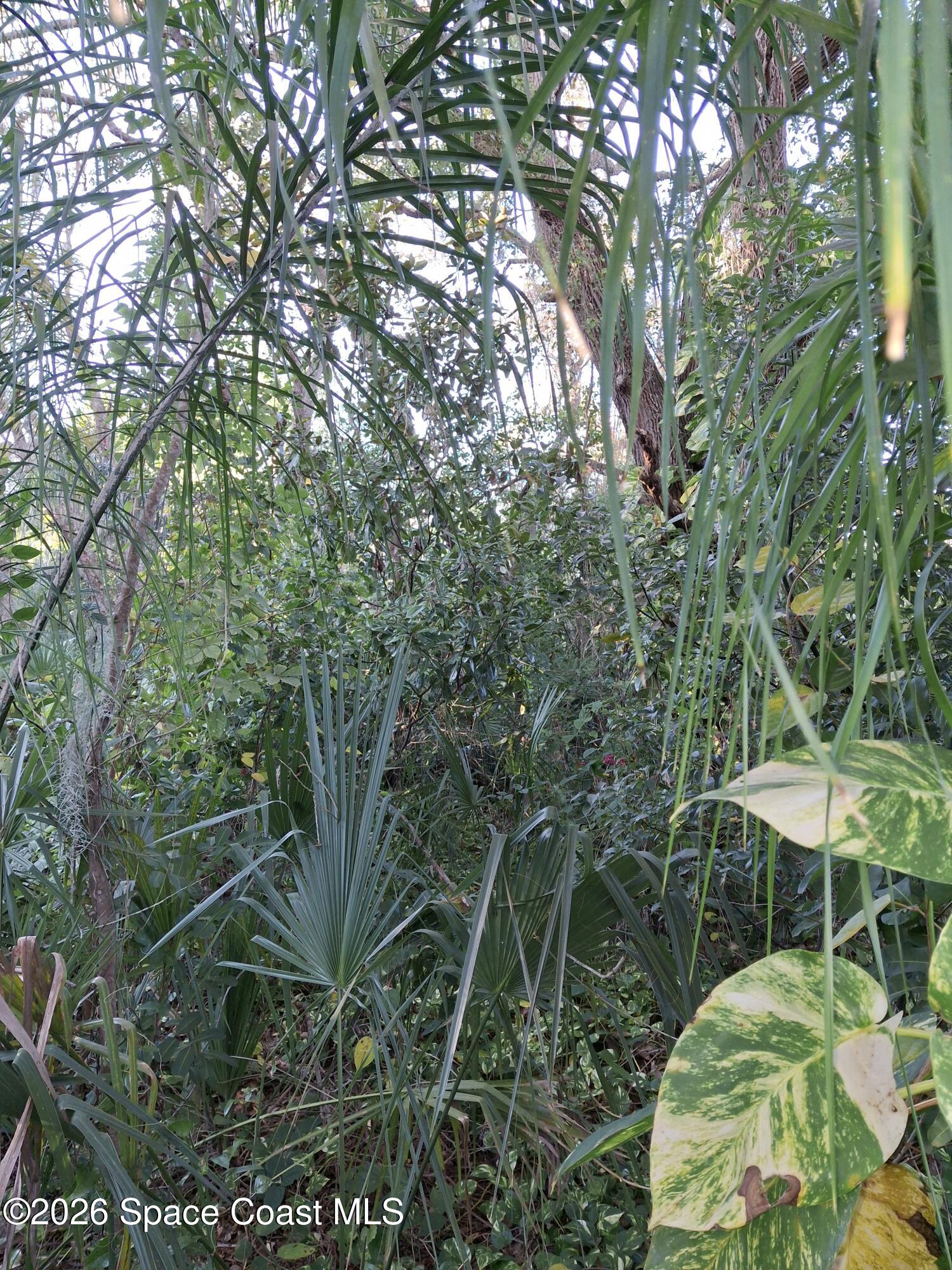 4824 Curtis Boulevard