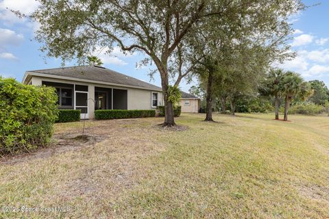 A home in Palm Bay