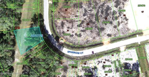 0-0000 Sparrow Court Poinciana FL 34759