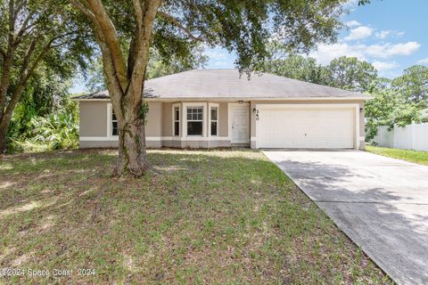 A home in Palm Bay