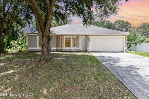 A home in Palm Bay