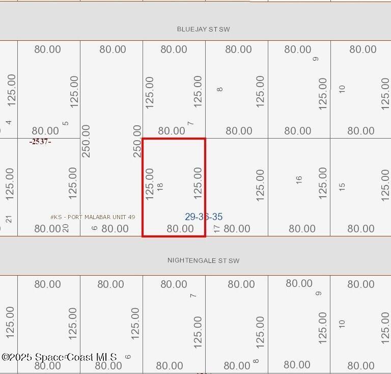 847 Nightengale Street SW