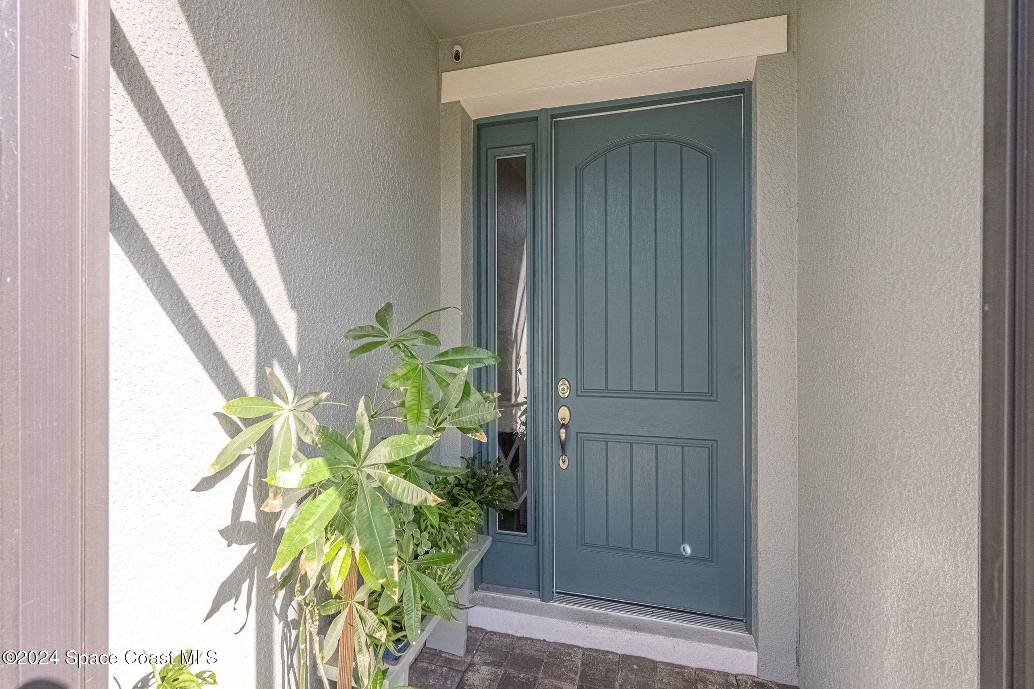 7673 Loren Cove Drive