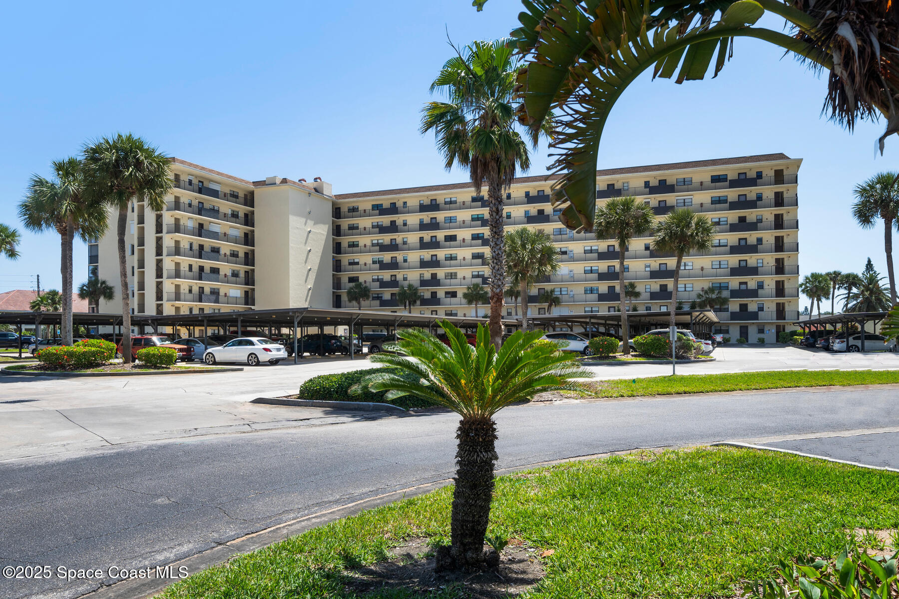 520 Palm Springs Boulevard 704