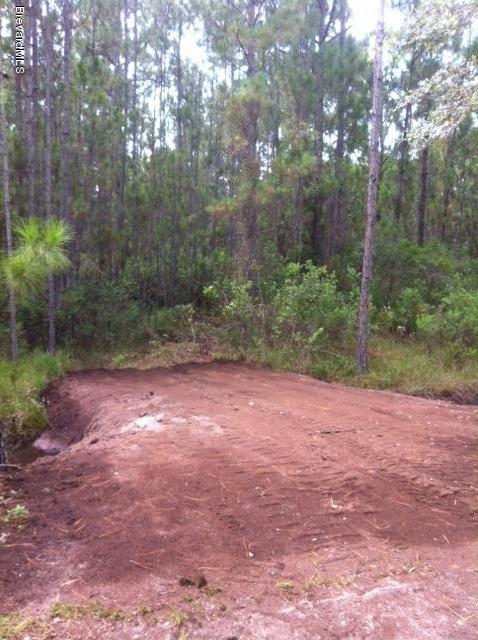 Photo 1 of 1 — 1000 Wild Pine Road Road, Mims, FL 32754