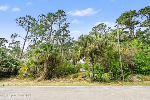 874 Hartsdale Avenue SW Palm Bay FL 32908