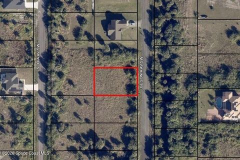 2178 Begonia Avenue SW Palm Bay FL 32908