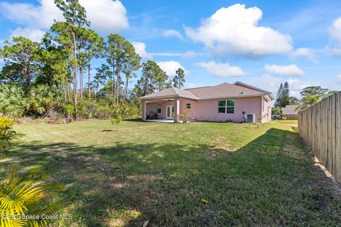 A home in Palm Bay