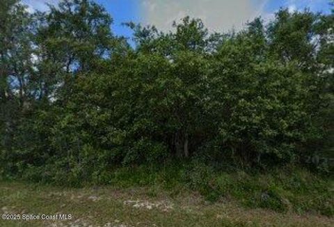 303 Dogfish Way Poinciana FL 34759