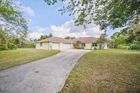 4220 Robins Hill Court Mims FL 32754