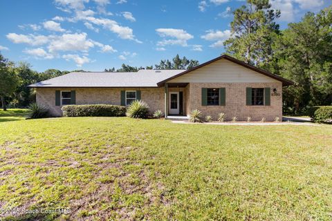 3730 Wood Duck Drive Mims FL 32754
