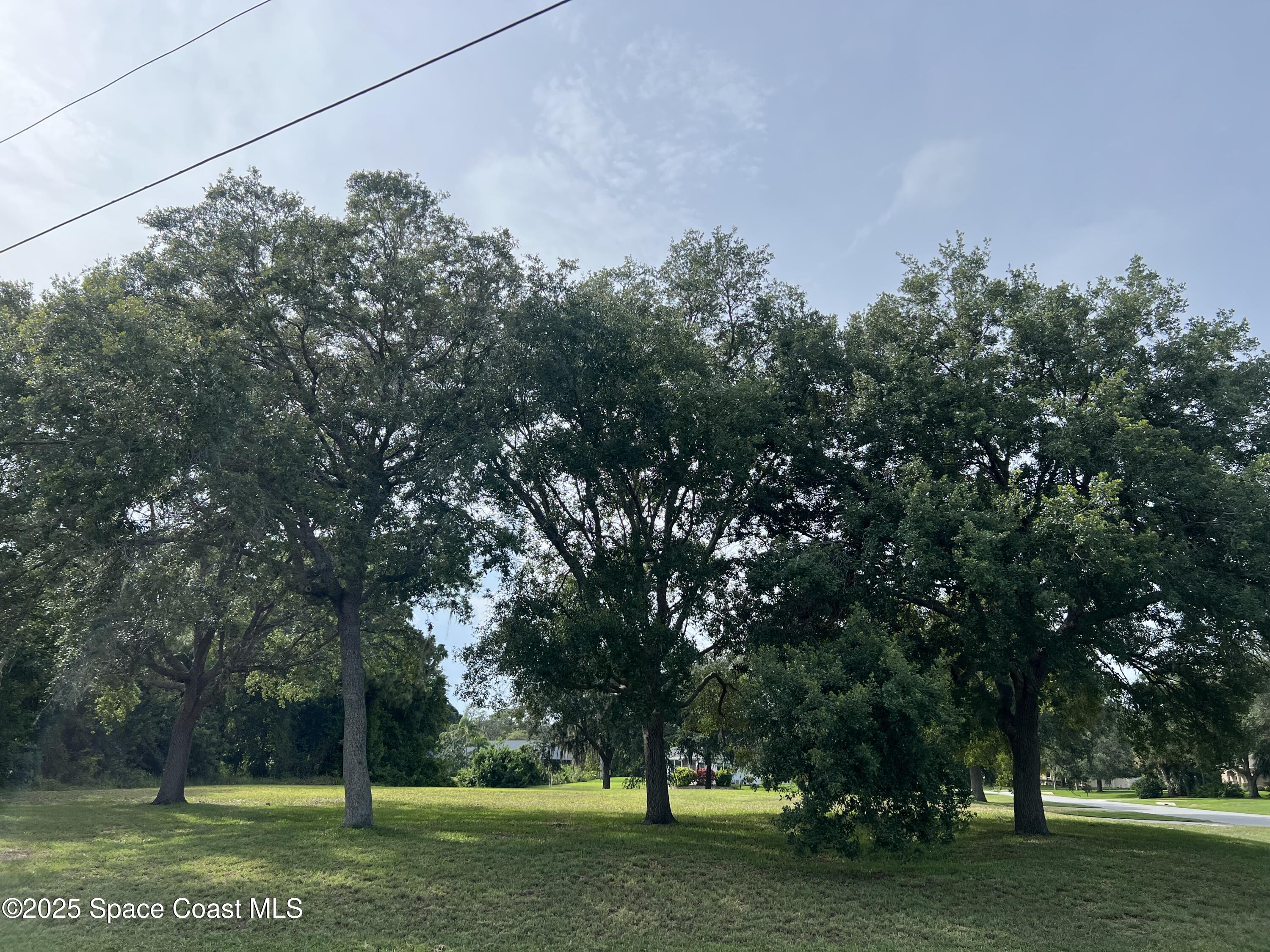 4414 Ligustrum Drive