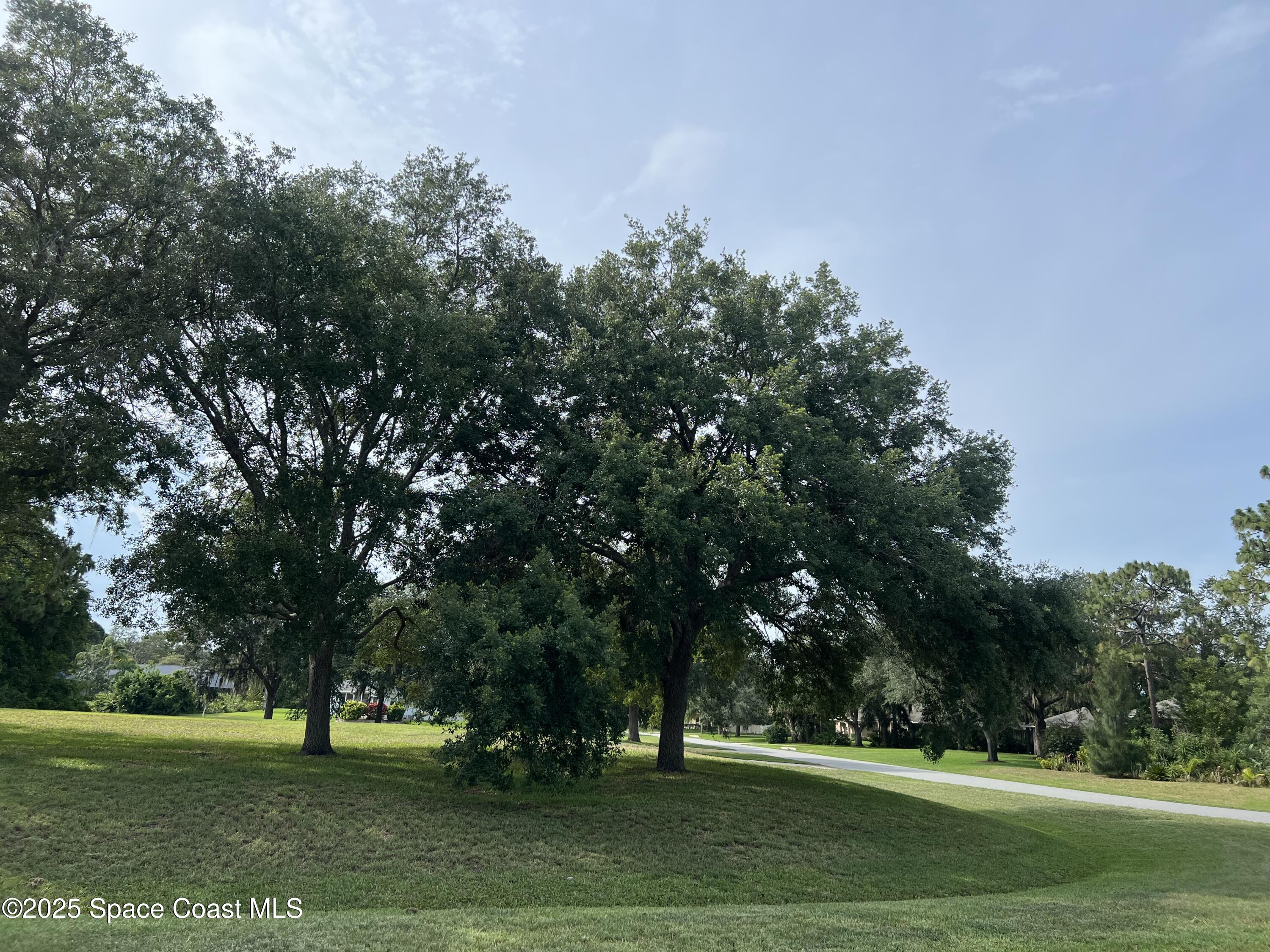 4414 Ligustrum Drive