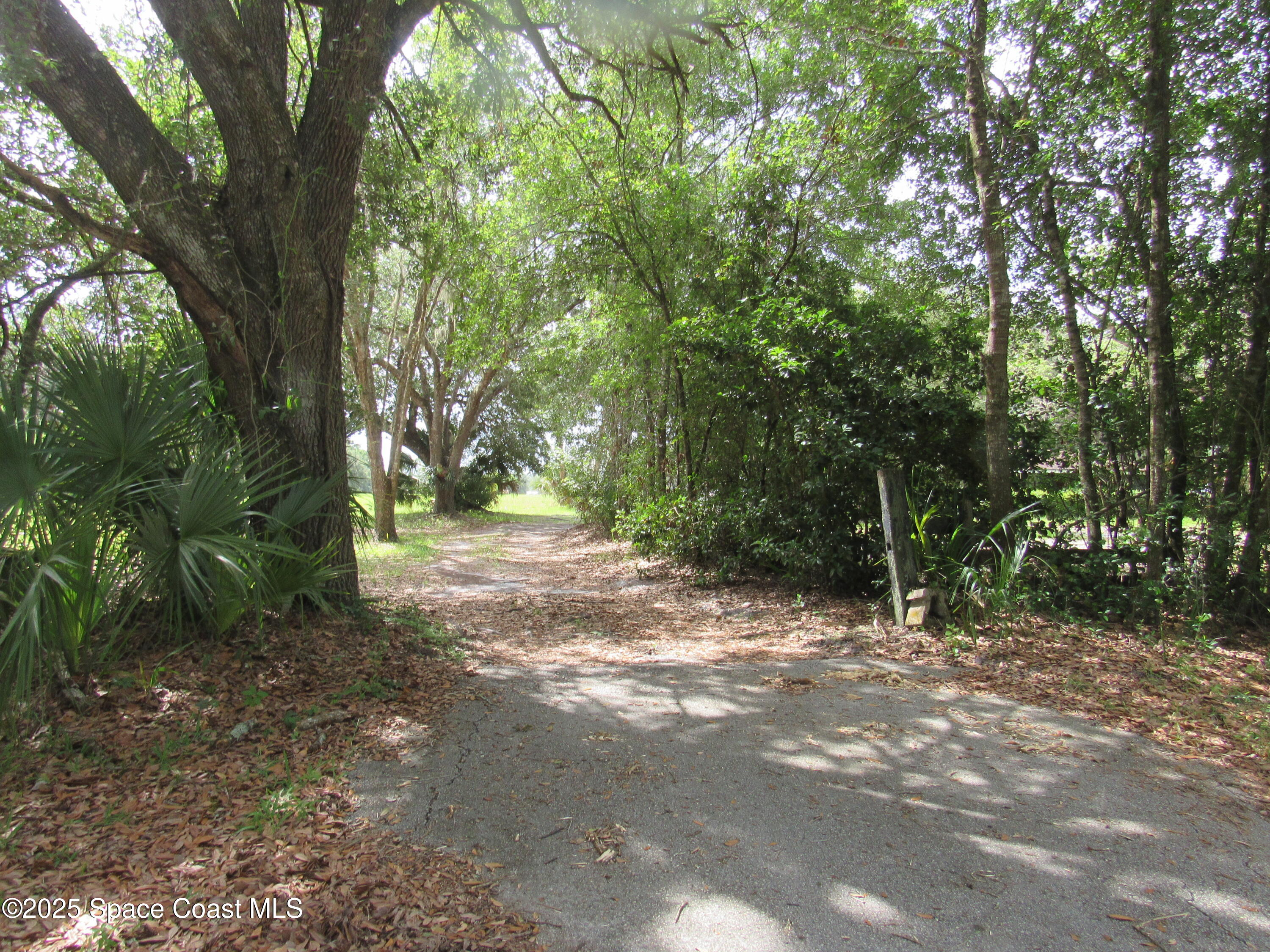 1255 S State Road 415