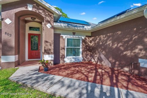 A home in Palm Bay