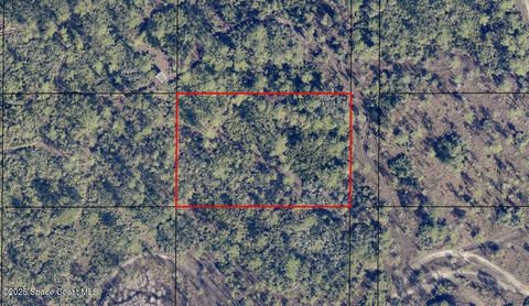 0 Ponderosa Road Grant-Valkaria FL 32950