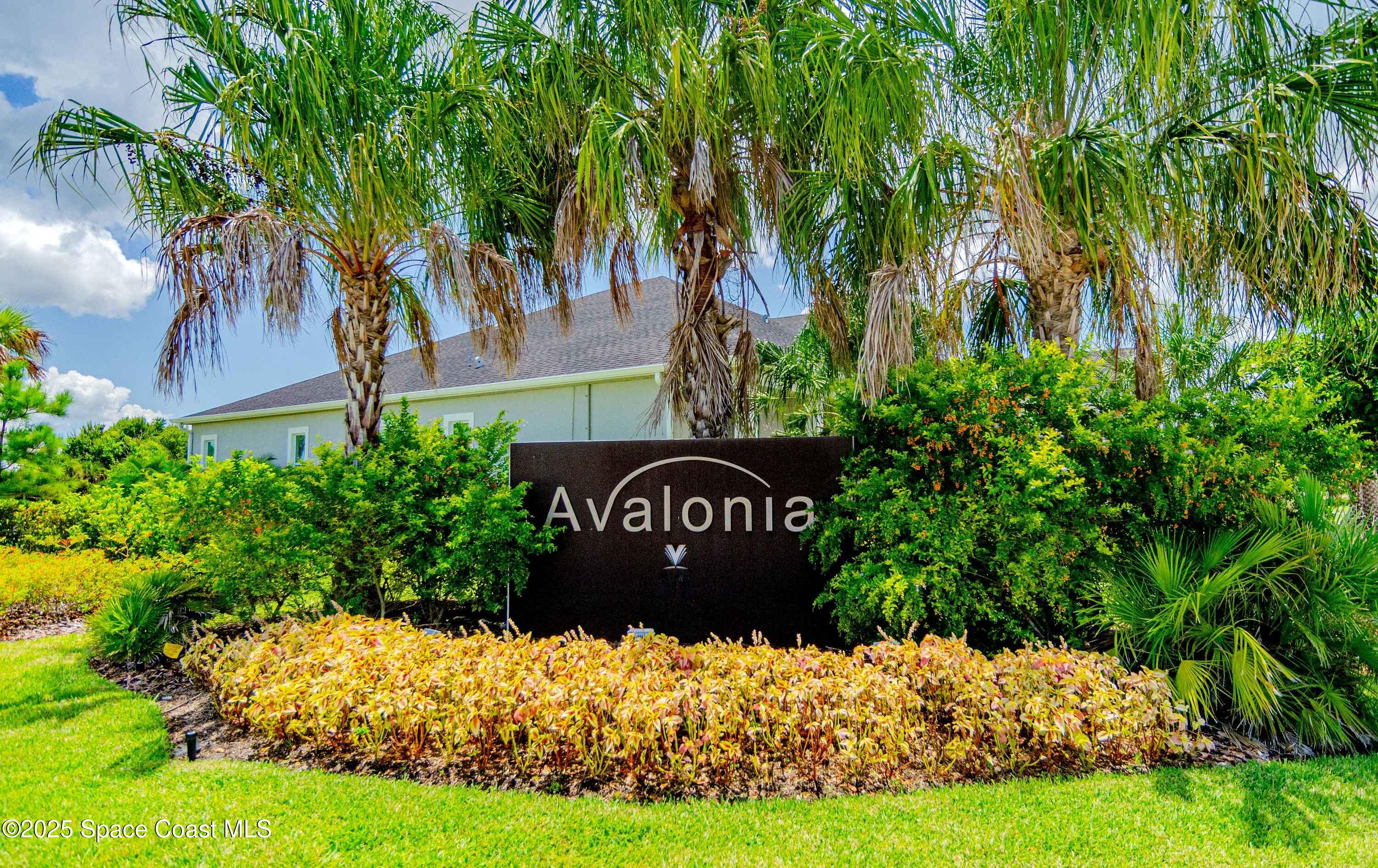 3089 Avalonia Drive