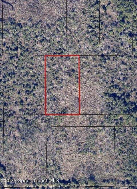 No Access Tbd West Of Florida Palm Avenue Cocoa FL 32927