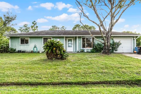 A home in Palm Bay