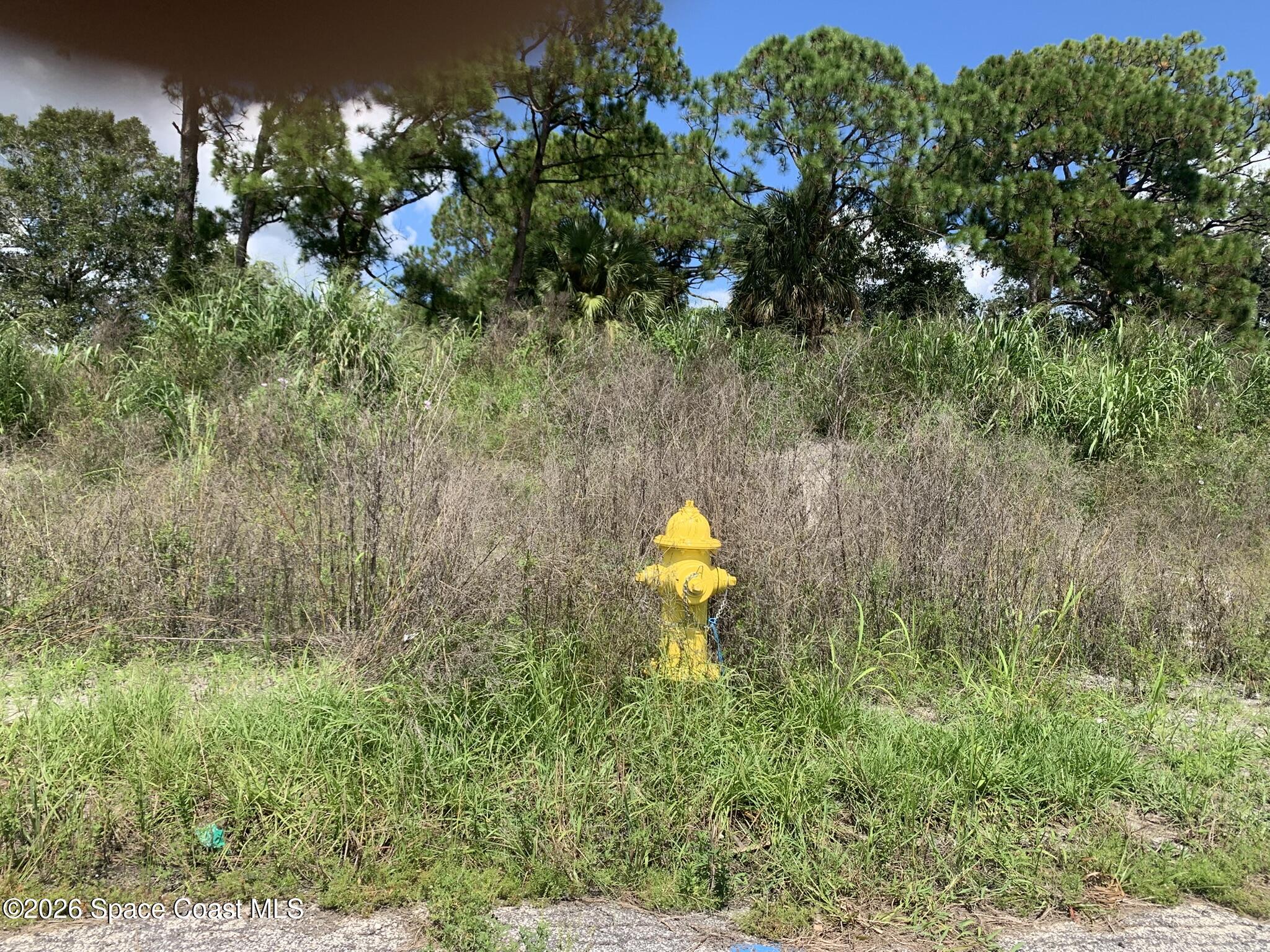 1485- 1514 Furnari Street