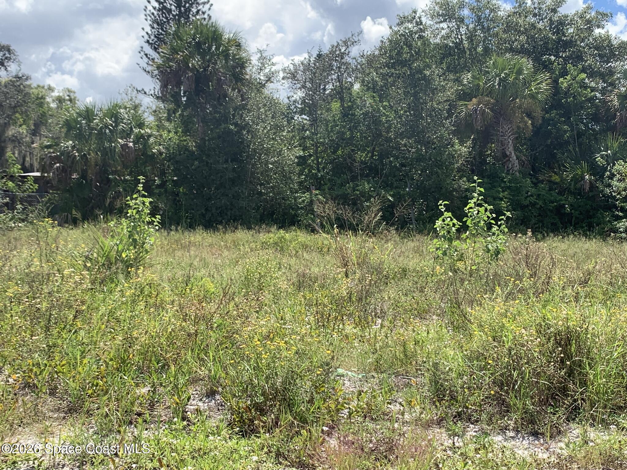 1485- 1514 Furnari Street