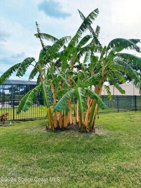 A home in Melbourne