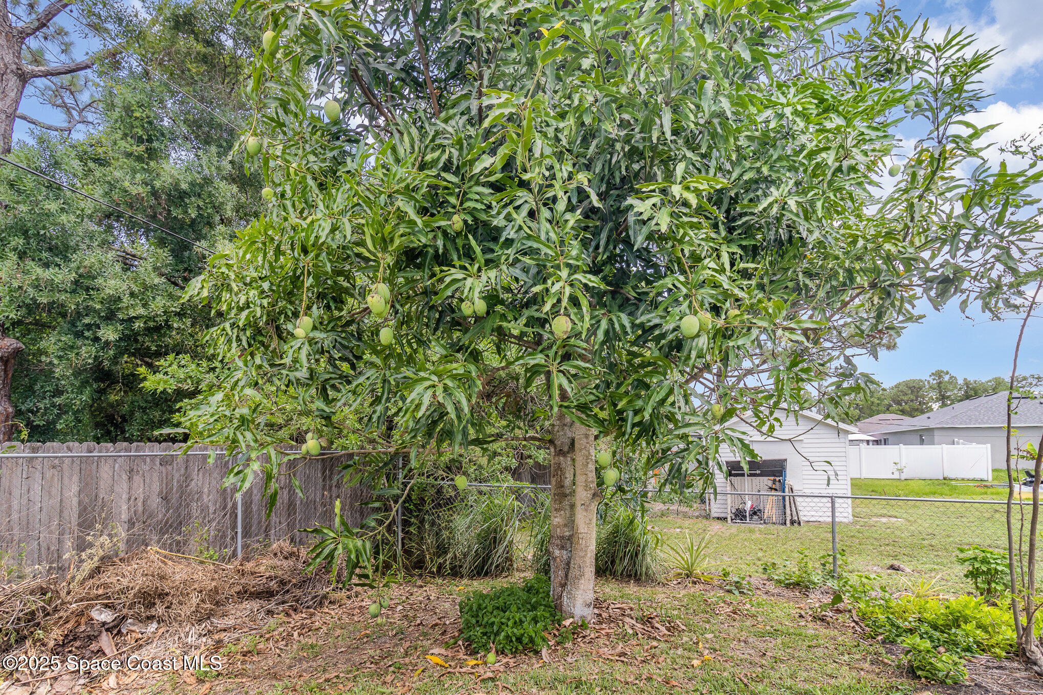 251 District Street SE