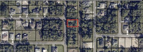 2707 Fitzpatrick Avenue SW Palm Bay FL 32908