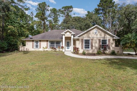 A home in Belleview