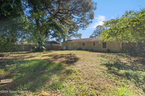 A home in Palm Bay