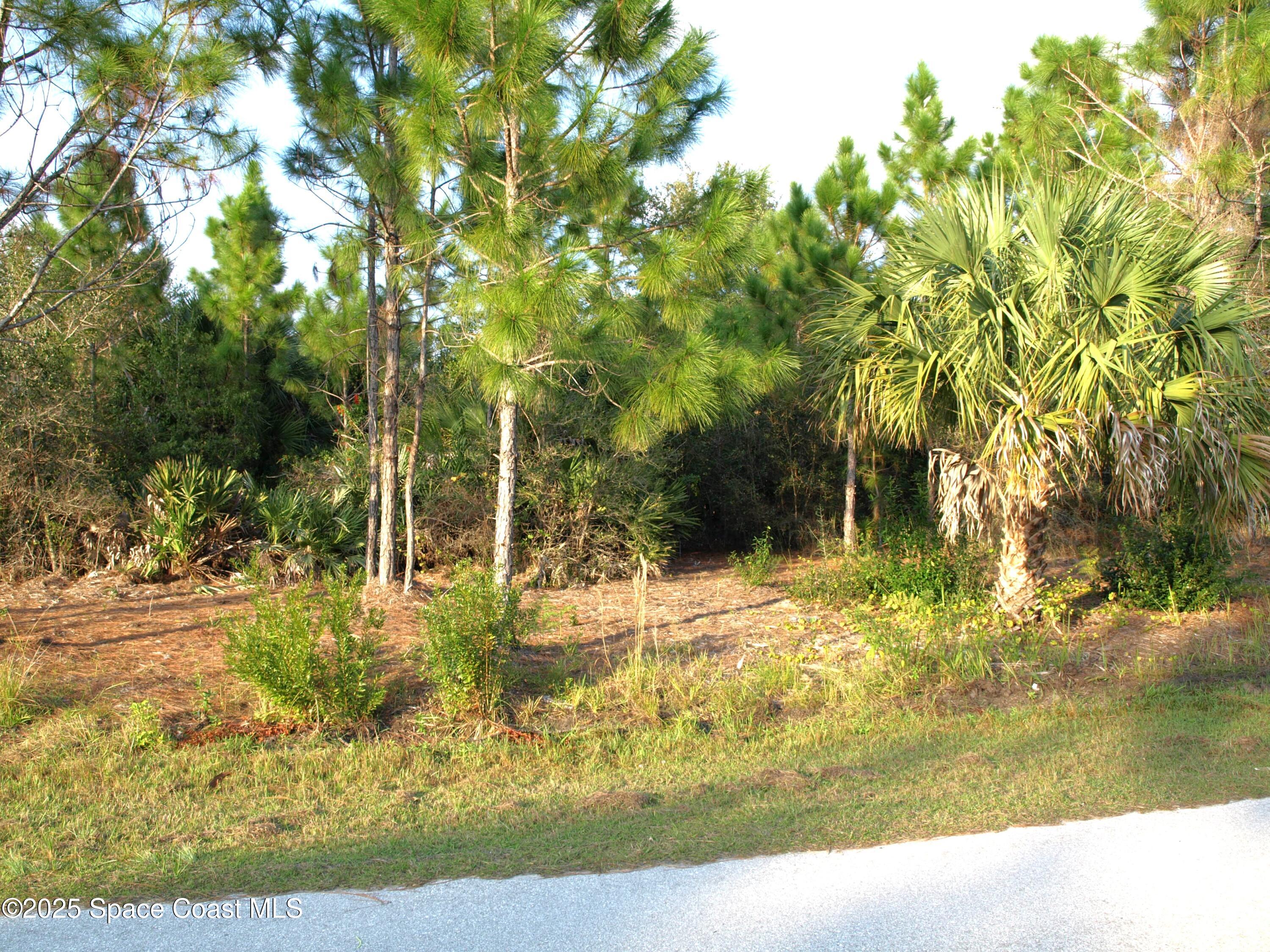 1615 Tigard Street SE