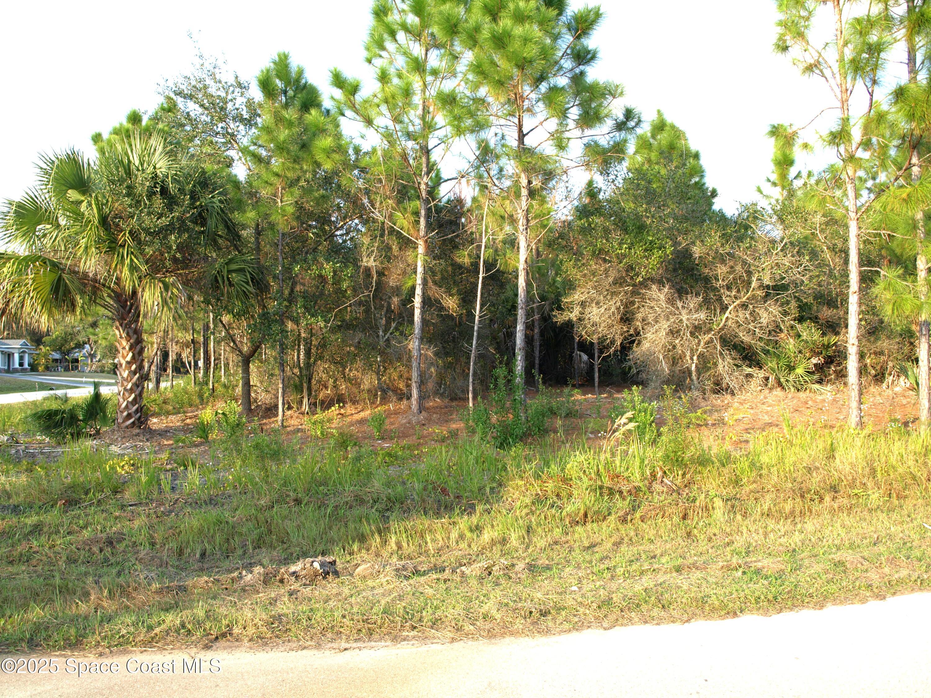 1615 Tigard Street SE