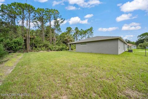 A home in Palm Bay