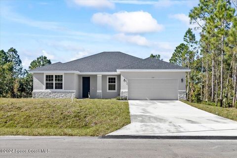 A home in Palm Bay