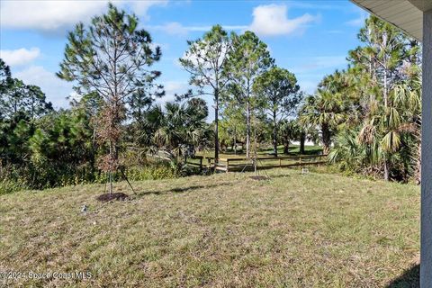 A home in Palm Bay