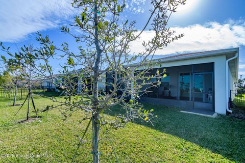 A home in Palm Bay