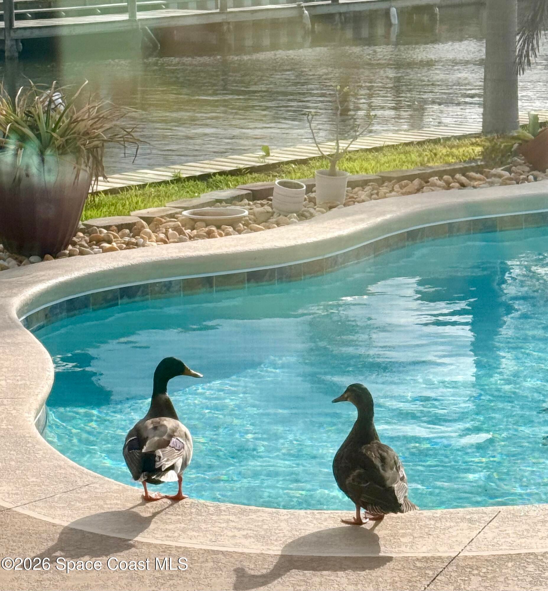 400 Port Royal Blvd, Satellite Beach, FL, 32937, USA, 4 Bedrooms Bedrooms, ,3 BathroomsBathrooms,Residential,Contingent,400 Port Royal Blvd,1079678