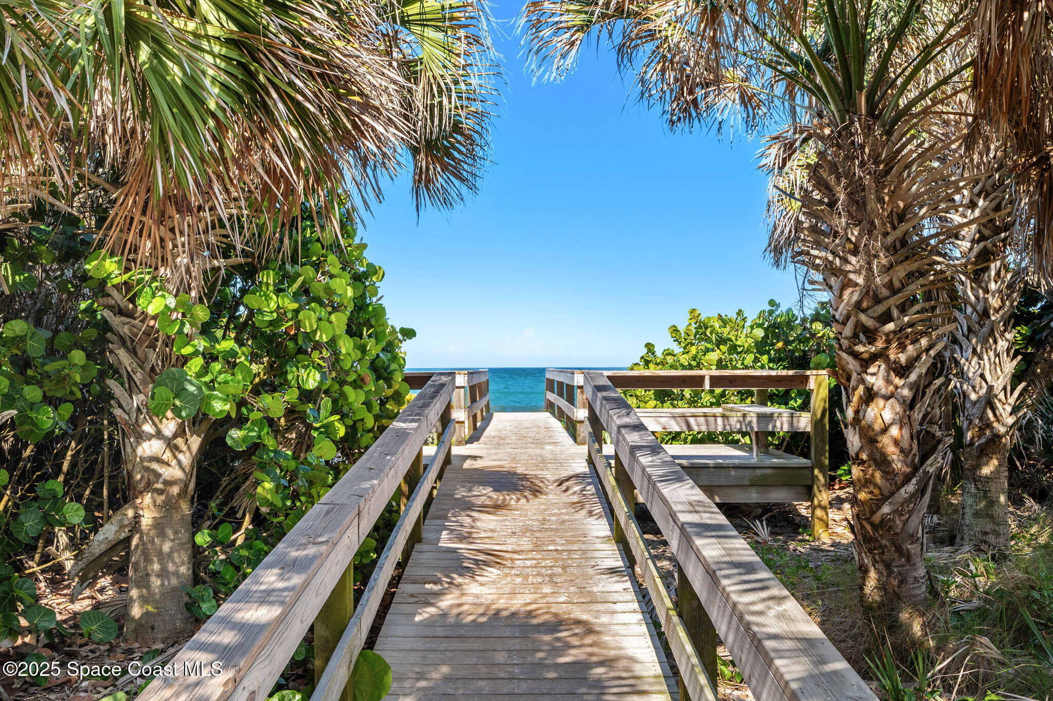 712 Sea Palm Lane