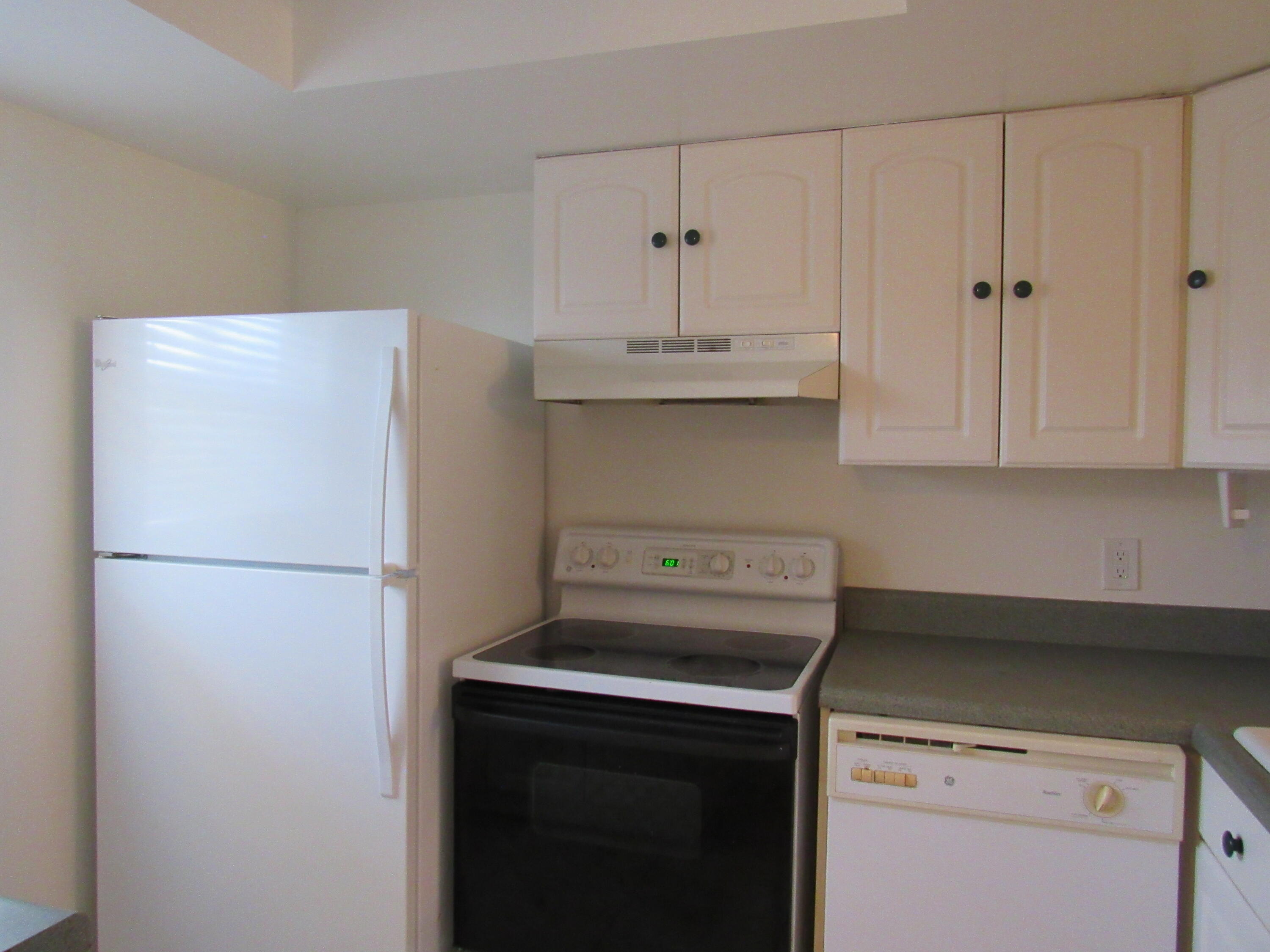 400 Catalina Road 203