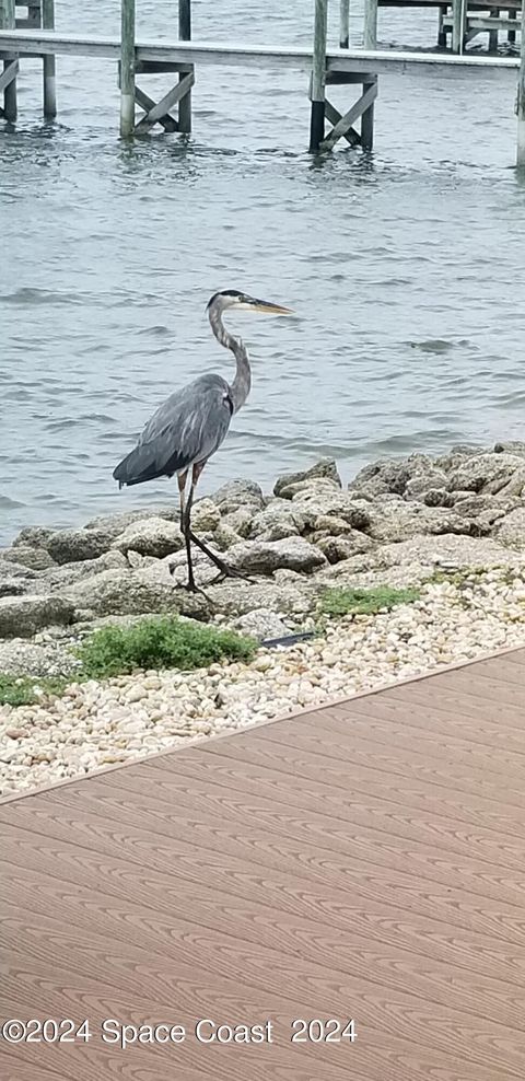 A home in Merritt Island