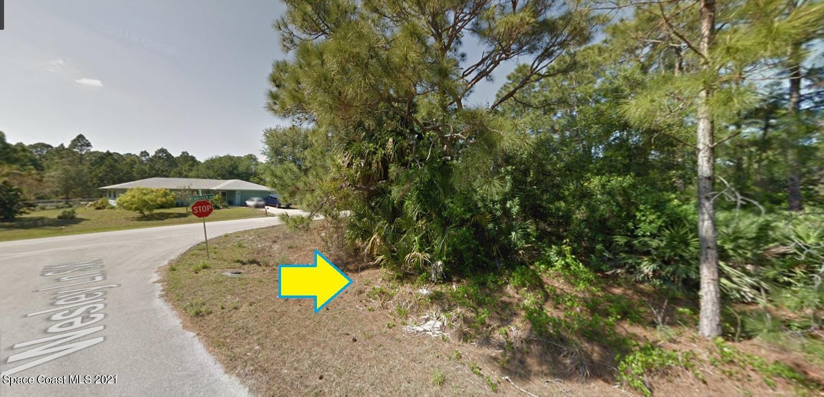 1195 Wesley Lane SW