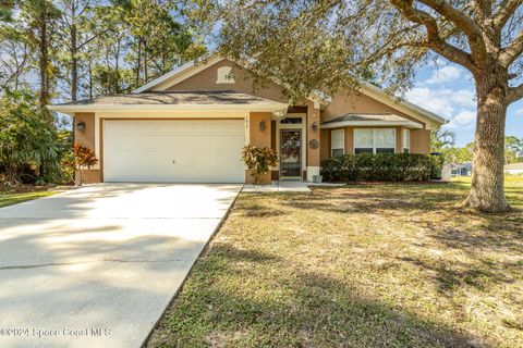 A home in Palm Bay