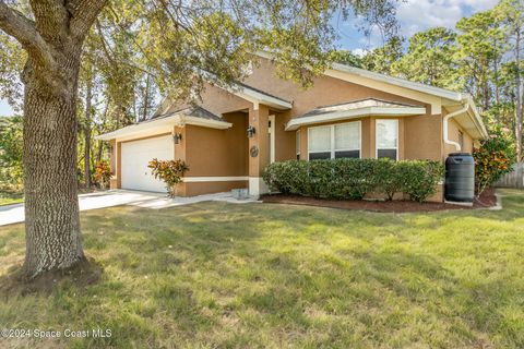 A home in Palm Bay