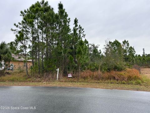 2991 Tinley Road SE Palm Bay FL 32909