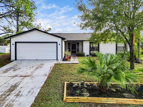 A home in Palm Bay