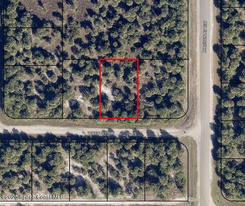 815 Wren Street SW Palm Bay FL 32908