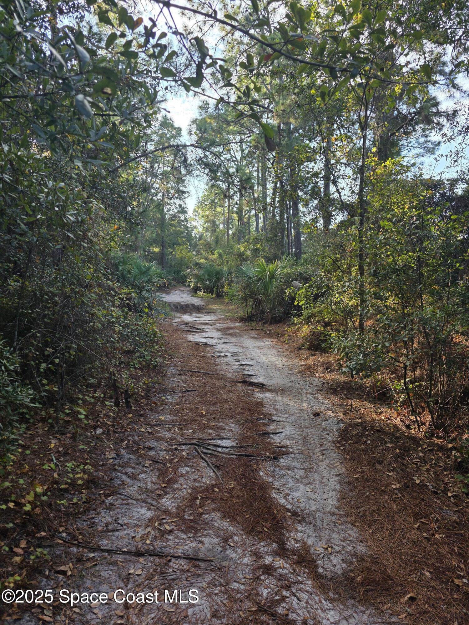 0000 Wood Duck Drive