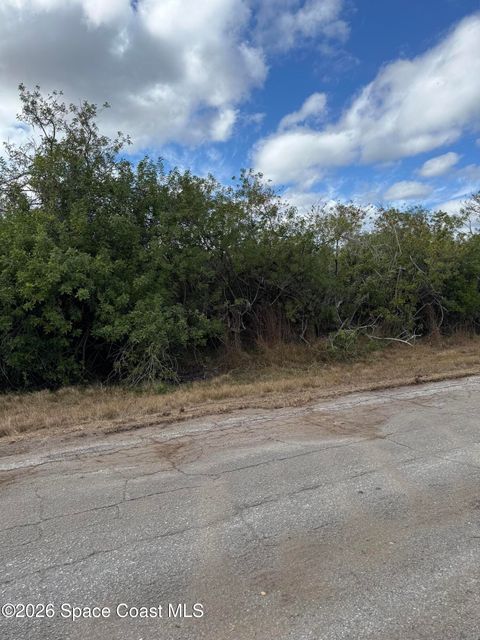 8520 Horseshoe Avenue Palm Bay FL 32909